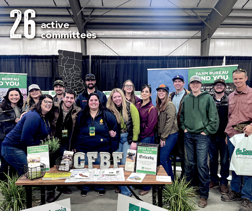 26 active committees