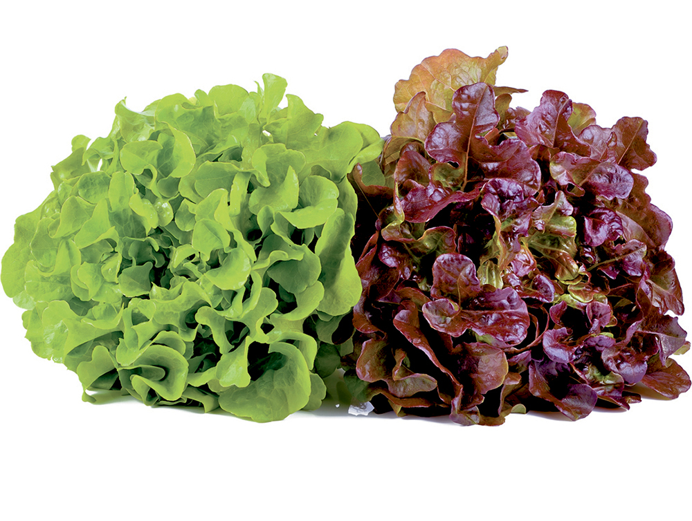 Featured commodities image