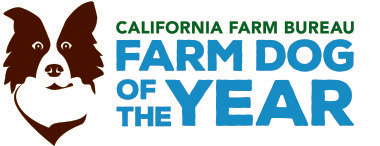 Farm Dog of the Year