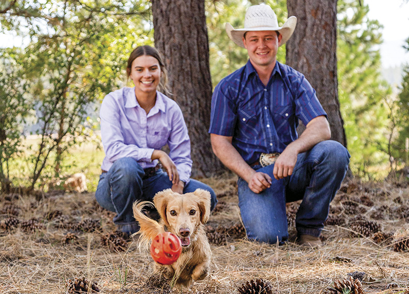 Willy maintains a playful side and loves chasing his ball 