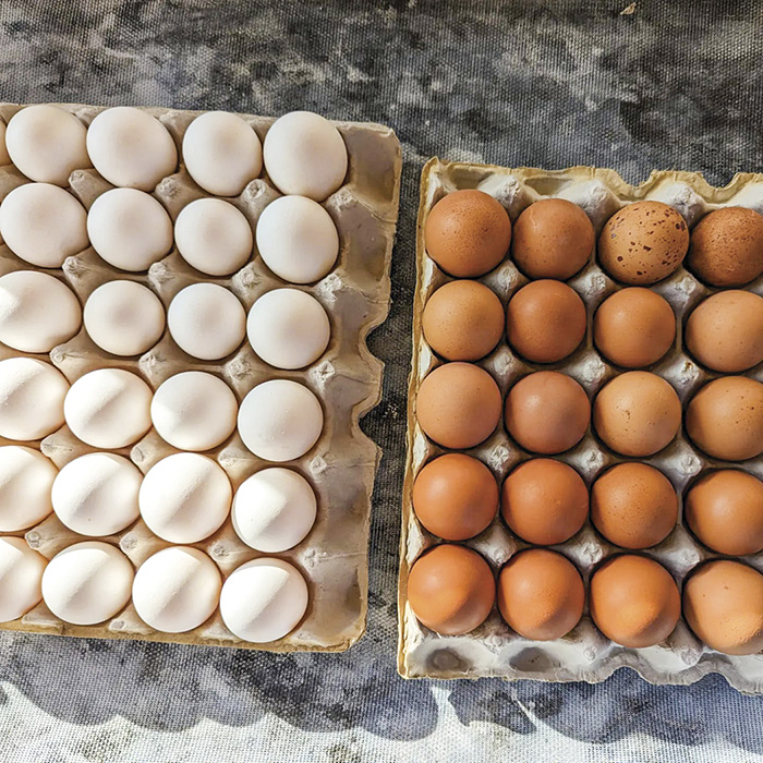 Hutchison, above, raises 50 breeds of chickens, selling meat, day-old chicks and eggs, above right. He also raises heritage turkeys for the Thanksgiving season and leads workshops on raising poultry and hands-on processing.