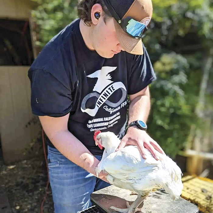 Hutchison, above, raises 50 breeds of chickens, selling meat, day-old chicks and eggs, above right. He also raises heritage turkeys for the Thanksgiving season and leads workshops on raising poultry and hands-on processing.