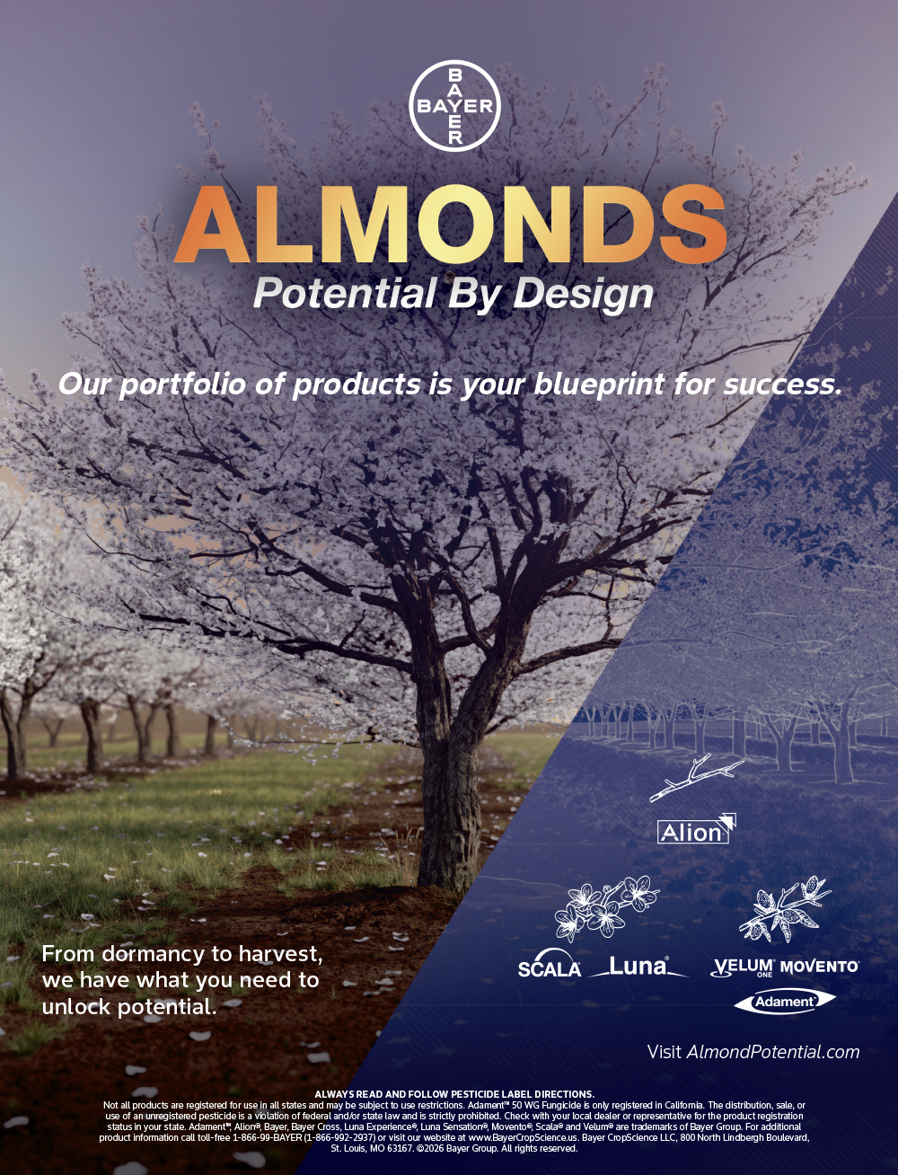 almondpotential.com