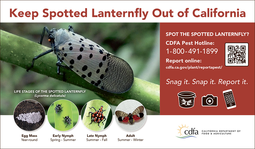 cdfa.ca.gov/plant/reportapest