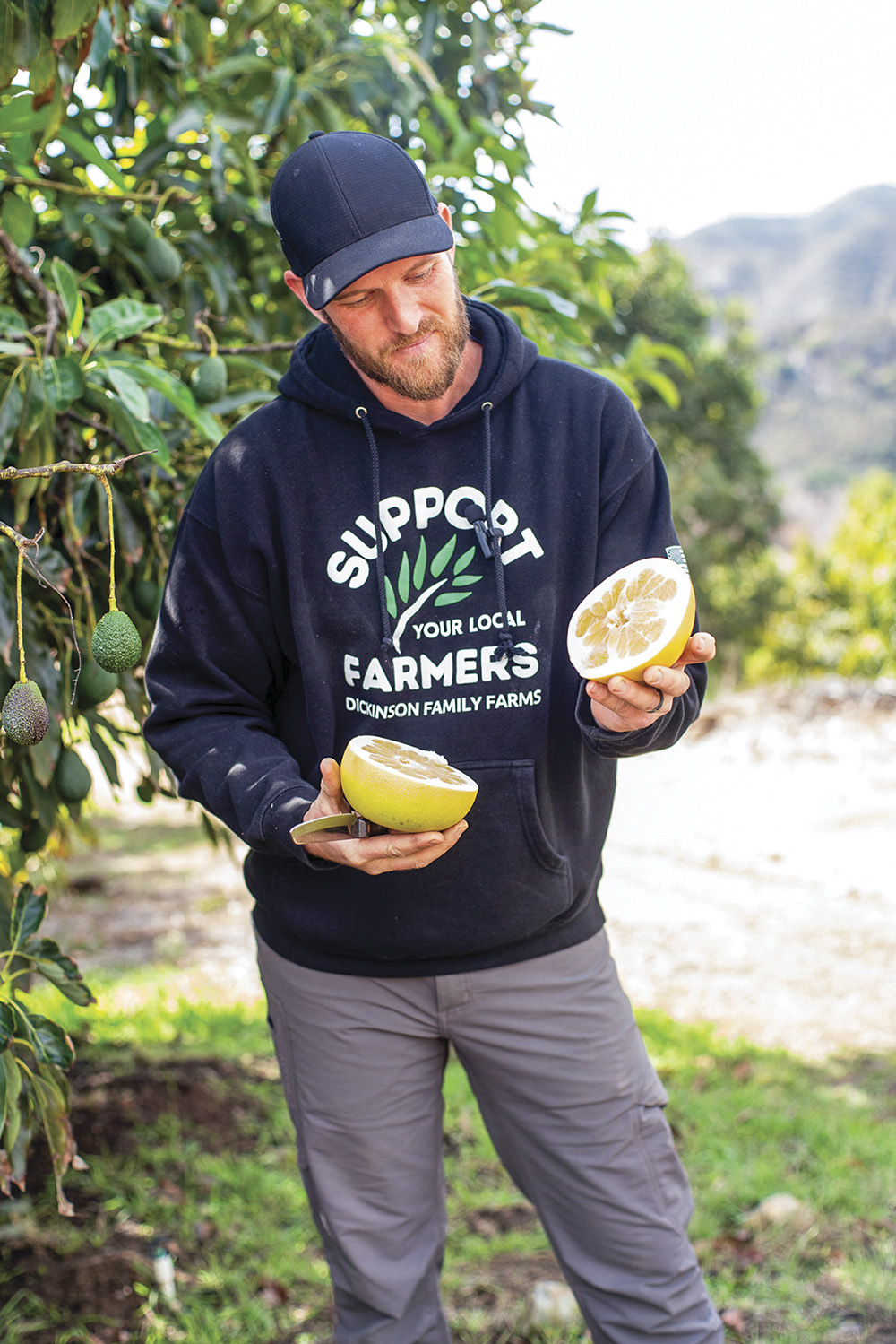 Photo/Courtesy of Dickinson Family Farms