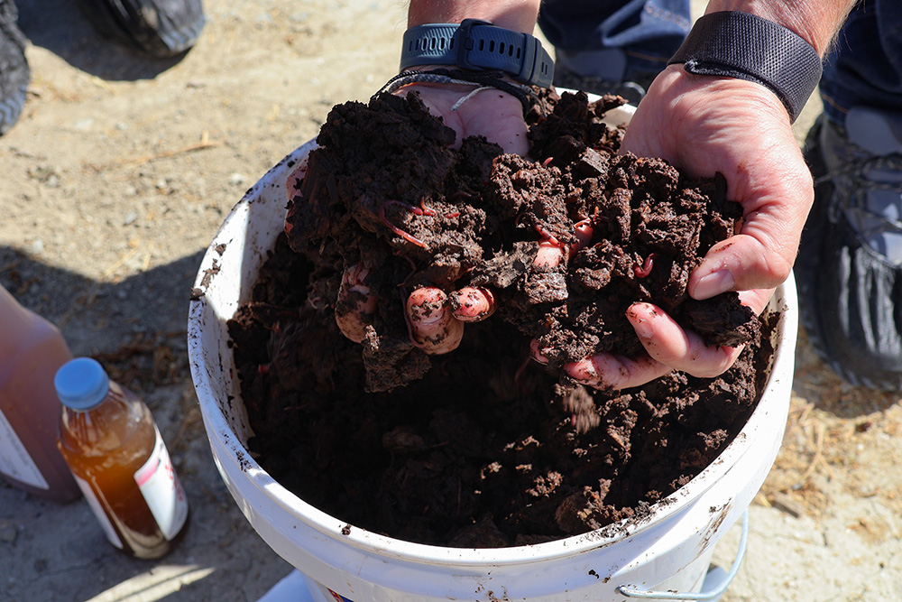 BioFiltro’s patented technology uses red worms to process dairy manure water so it can be reused as irrigation water