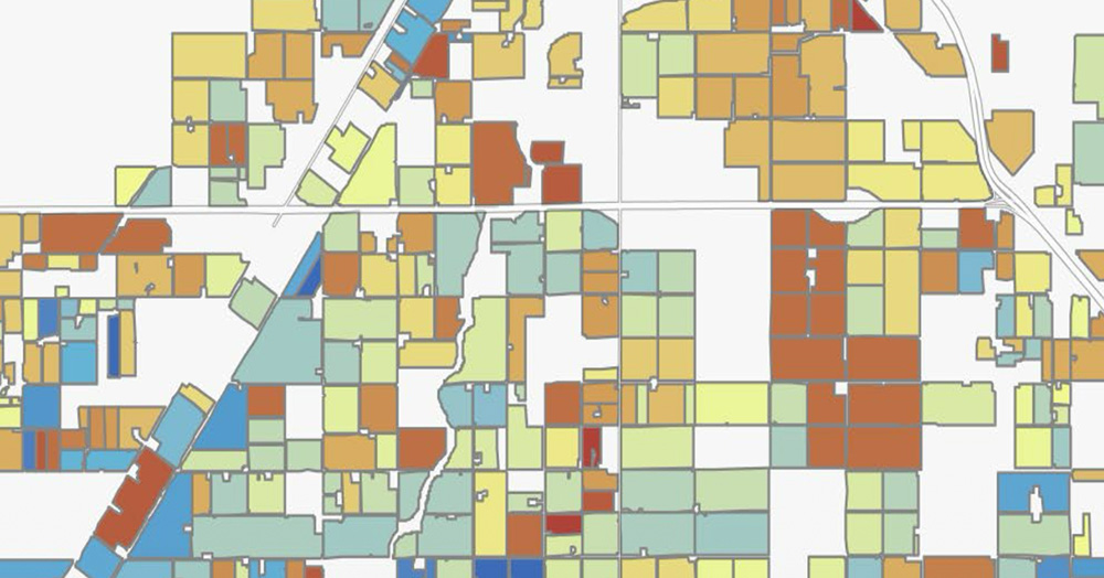 A Land IQ map shows the age of dozens of almond orchard blocks in Madera County, with warm colors indicating younger orchards and cool colors indicating older ones. The company uses remote sensing technology to map every almond orchard in California. 