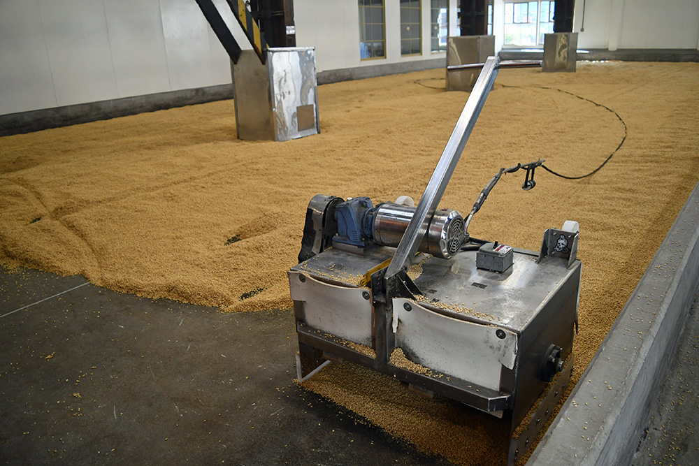 After soaking, the barley is spread onto chilled cement floors, left, where an autonomous machine turns the grain twice a day to ensure uniformity. Once the ascospires, or rootlets, are the full length of the seed, the grain is transferred to a kiln to halt germination. 
