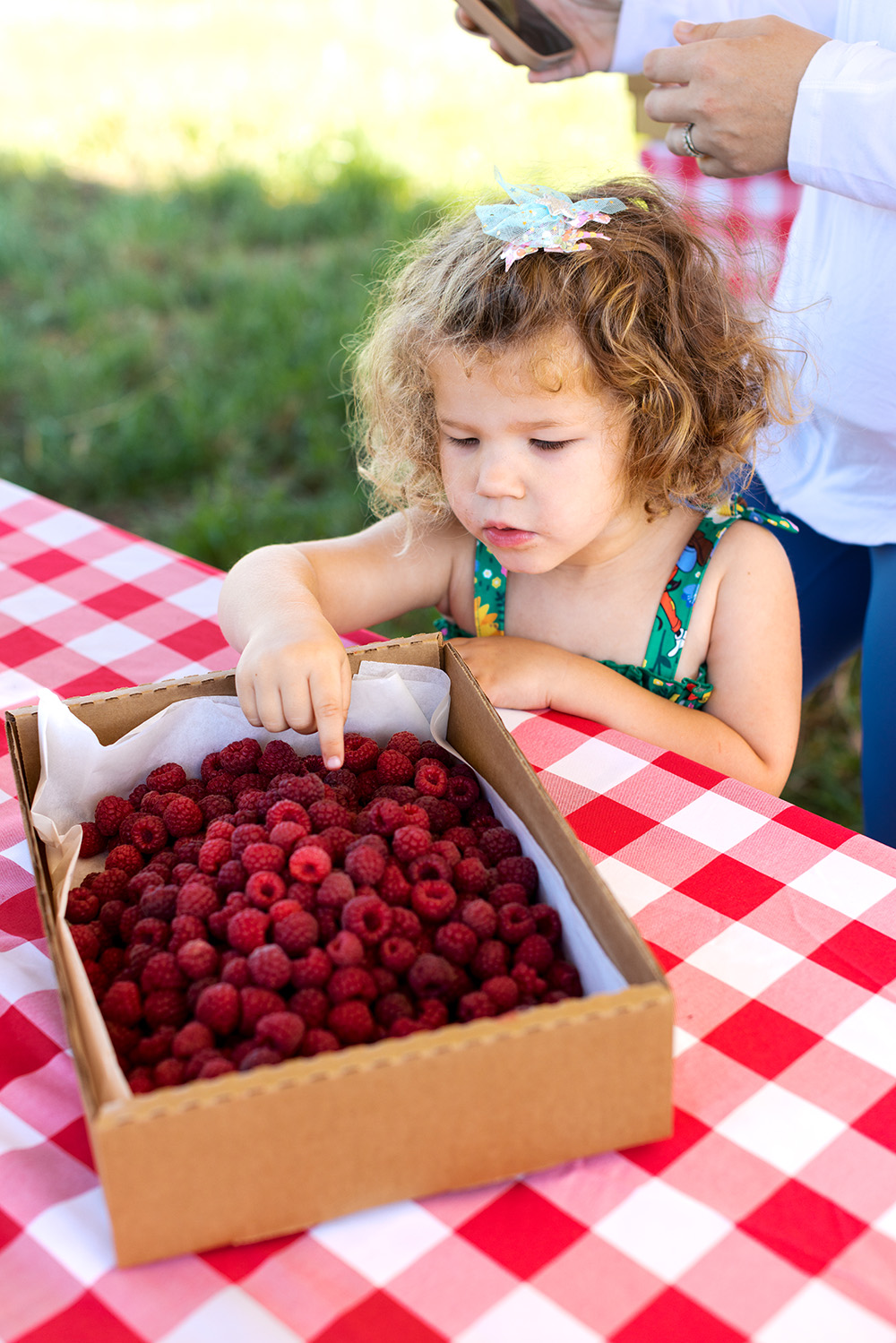 At Boring Farm in Sebastopol, U-pickers of all ages visit the farm every Saturday from 9 a.m. to 1 p.m. during production season to harvest their own raspberries.