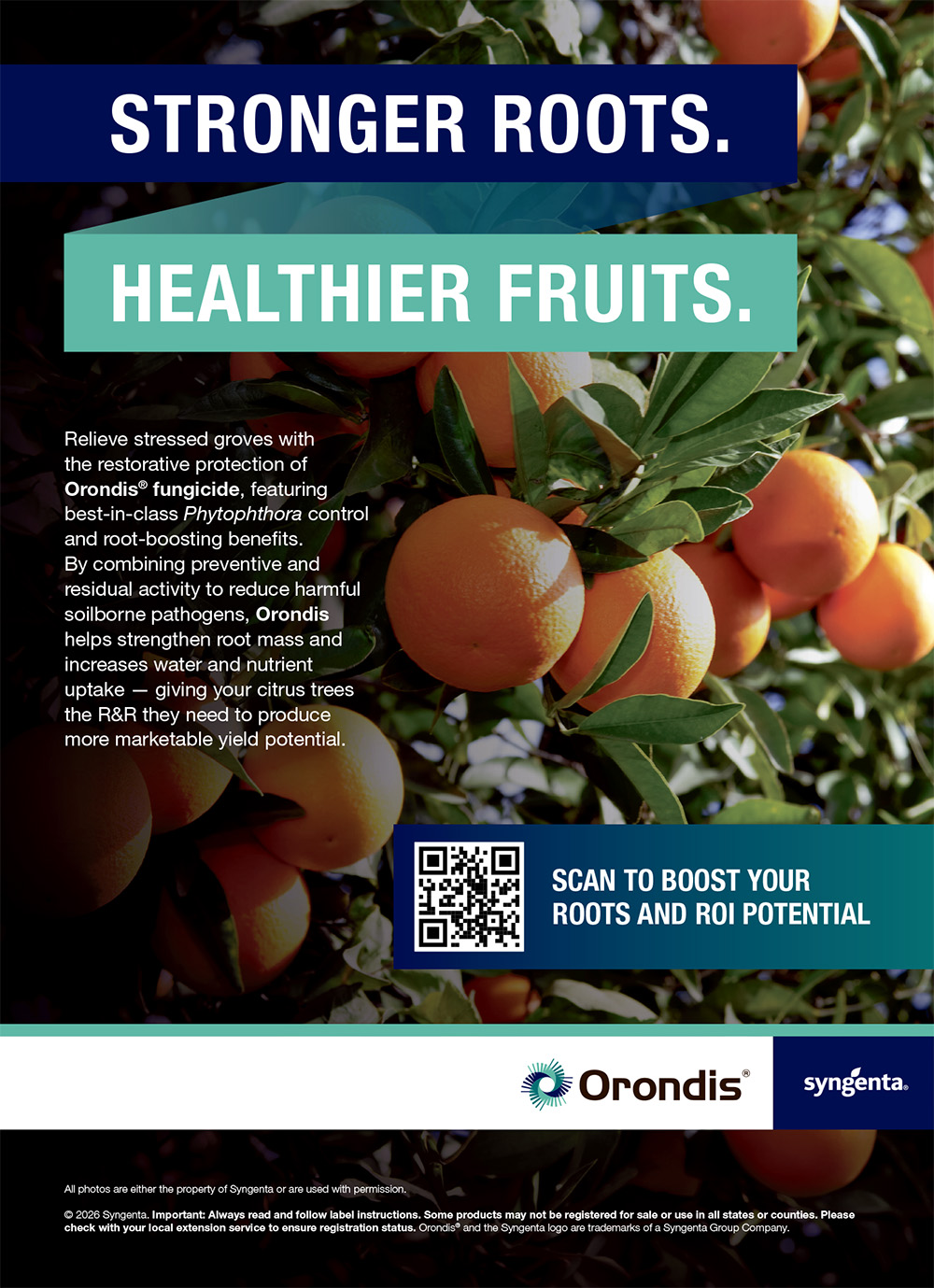 https://nam10.safelinks.protection.outlook.com/?url=https%3A%2F%2Fwww.syngenta-us.com%2Ffungicides%2Forondis%3Fcrop%3Dcitrus%26utm_campaign%3Dsyncp-orondis-citruspcaprintad-q326%26utm_medium%3Dpaid-qrcode%26utm_source%3Djlfarmakis%26utm_content%3Dqrcode%26utm_term%3Dagalert-july-print-ad&data=05%7C02%7Cscollins%40cfbf.com%7C00defa73591e400b625808defd58a5fc%7C8213ac7c9da54f9b9c40e0372e5a7659%7C0%7C0%7C639226754364008857%7CUnknown%7CTWFpbGZsb3d8eyJFbXB0eU1hcGkiOnRydWUsIlYiOiIwLjAuMDAwMCIsIlAiOiJXaW4zMiIsIkFOIjoiTWFpbCIsIldUIjoyfQ%3D%3D%7C0%7C%7C%7C&sdata=zP8gY3BXOHynVoWZQKCxoJA8RAiUTgUlpuqrsRyEZkQ%3D&reserved=0