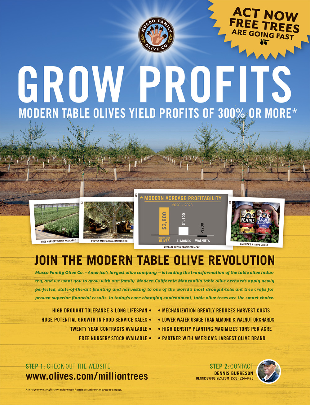 olives.com/milliontrees