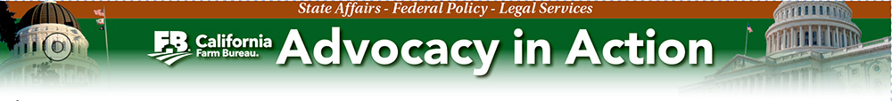 Advocacy in Action