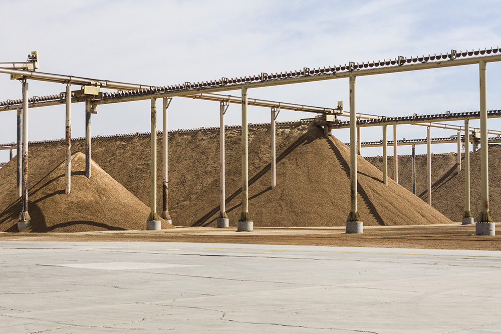 With nearly 1.4 million bearing acres of almonds in California, the crop generates large quantities of byproducts such as hulls, which are currently used primarily as livestock feed.