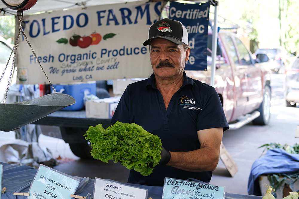 San Joaquin County farmer Federico Toledo sells lettuce at the Davis Farmers Market in Yolo County, which reported increased demand for leafy greens as shoppers avoided large retailers.