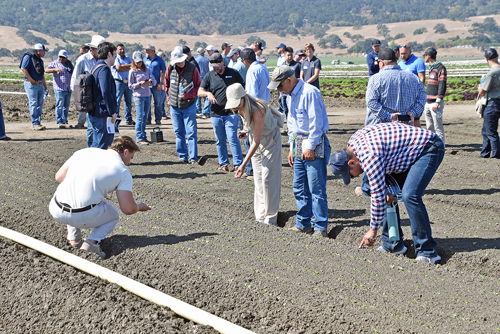 Attendees check out the dead plants left by the LaserWeeder. Tech demos at Sabór Farms’ lettuce fields near San Juan Bautista attracted nearly 300 growers, pest control advisers and others.