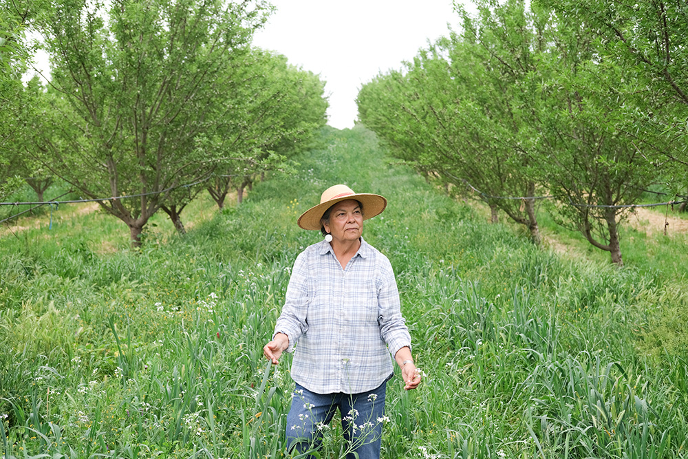 Merced County farmer Rosie Burroughs stands in her regenerative almond orchard earlier this year.