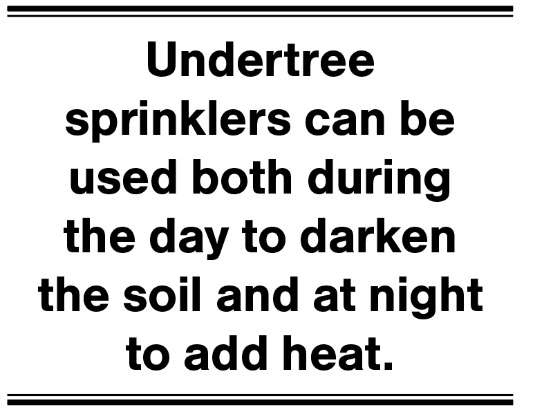 Undertree sprinklers can be used to darken the soil and add heat.