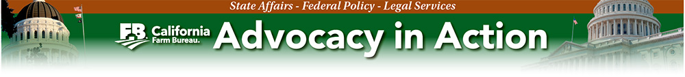 Advocacy in Action
