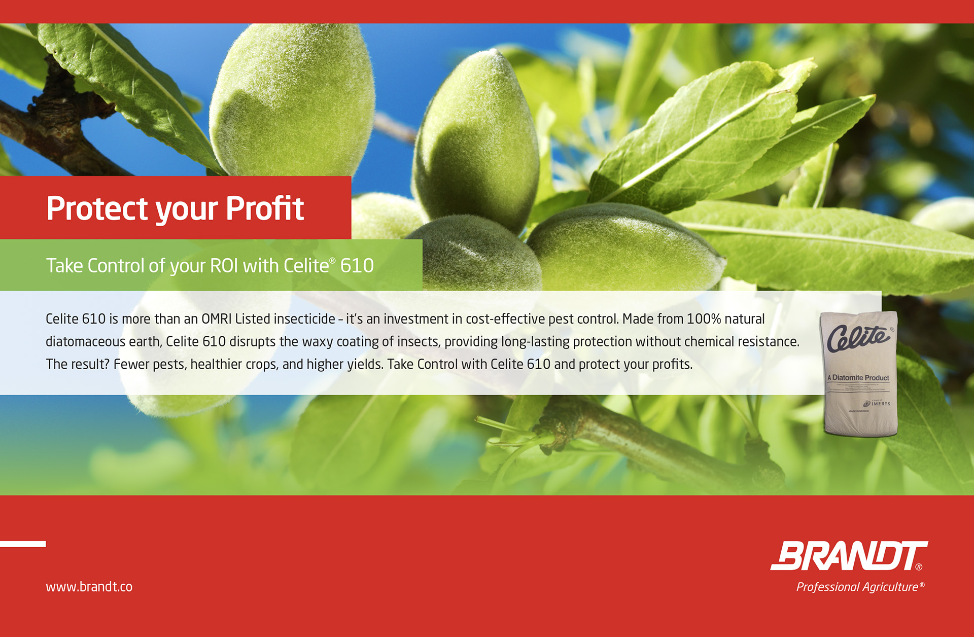 Brandt Professional Agriculture