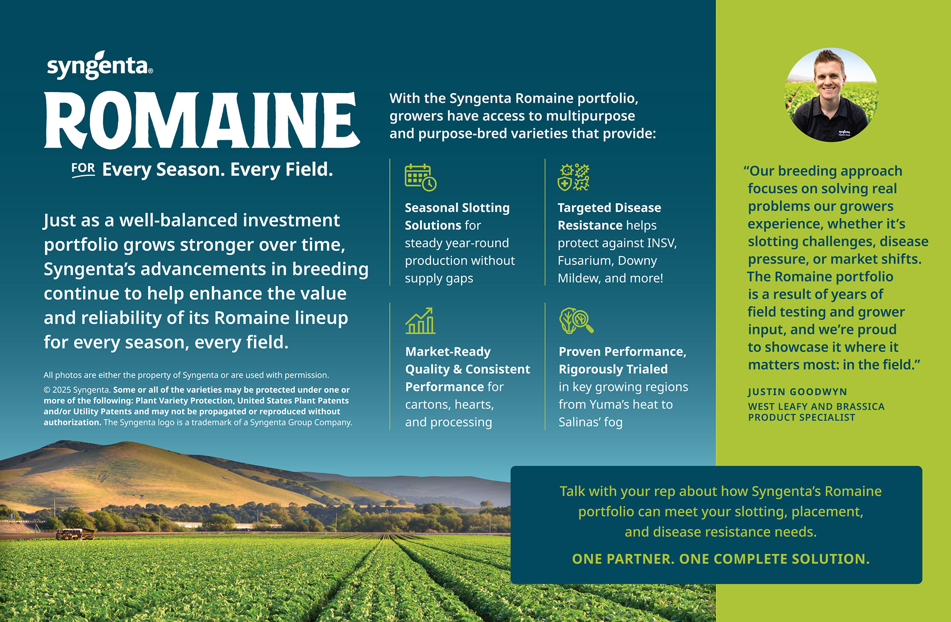 Syngenta Romaine