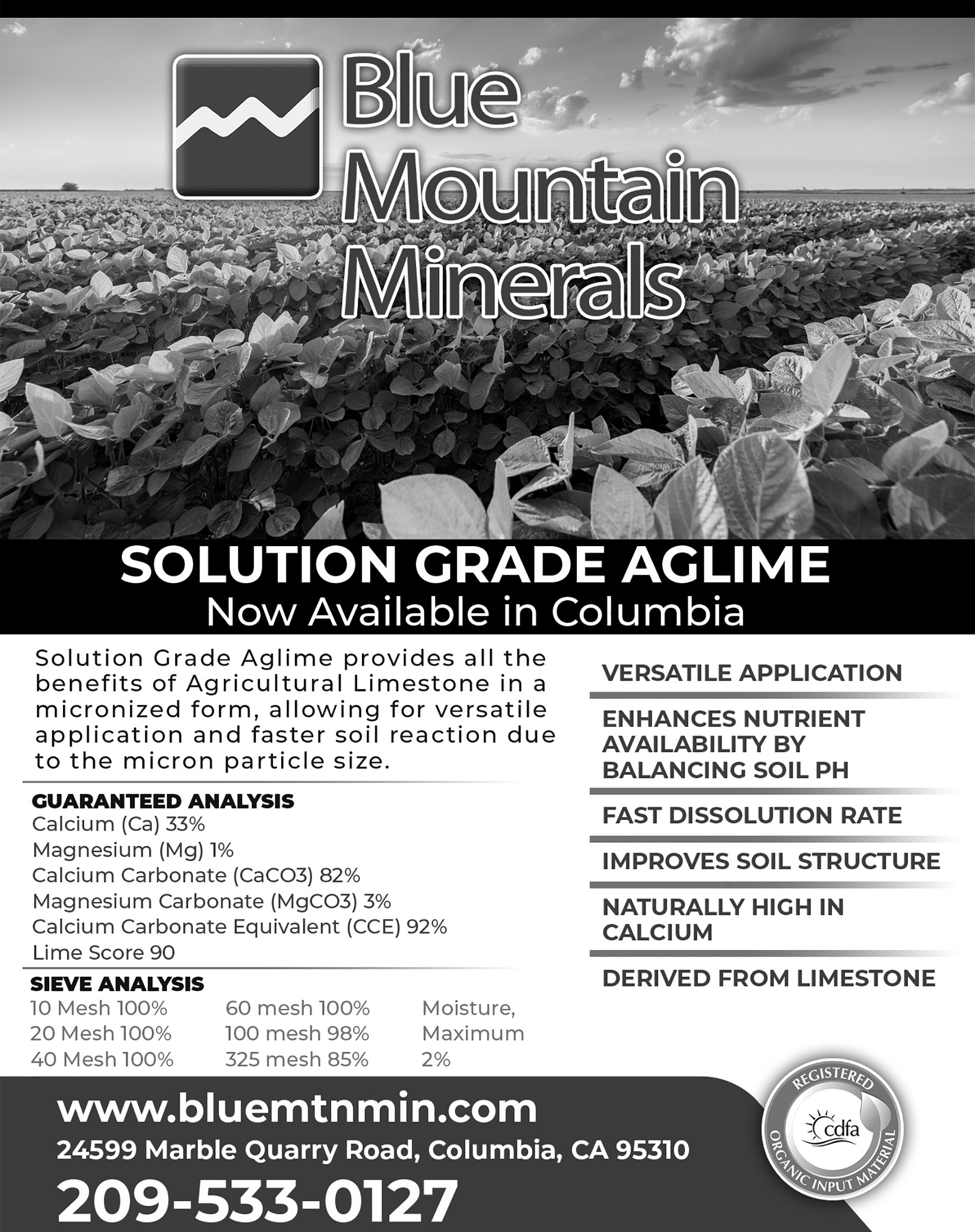 Blue Mountain Minerals