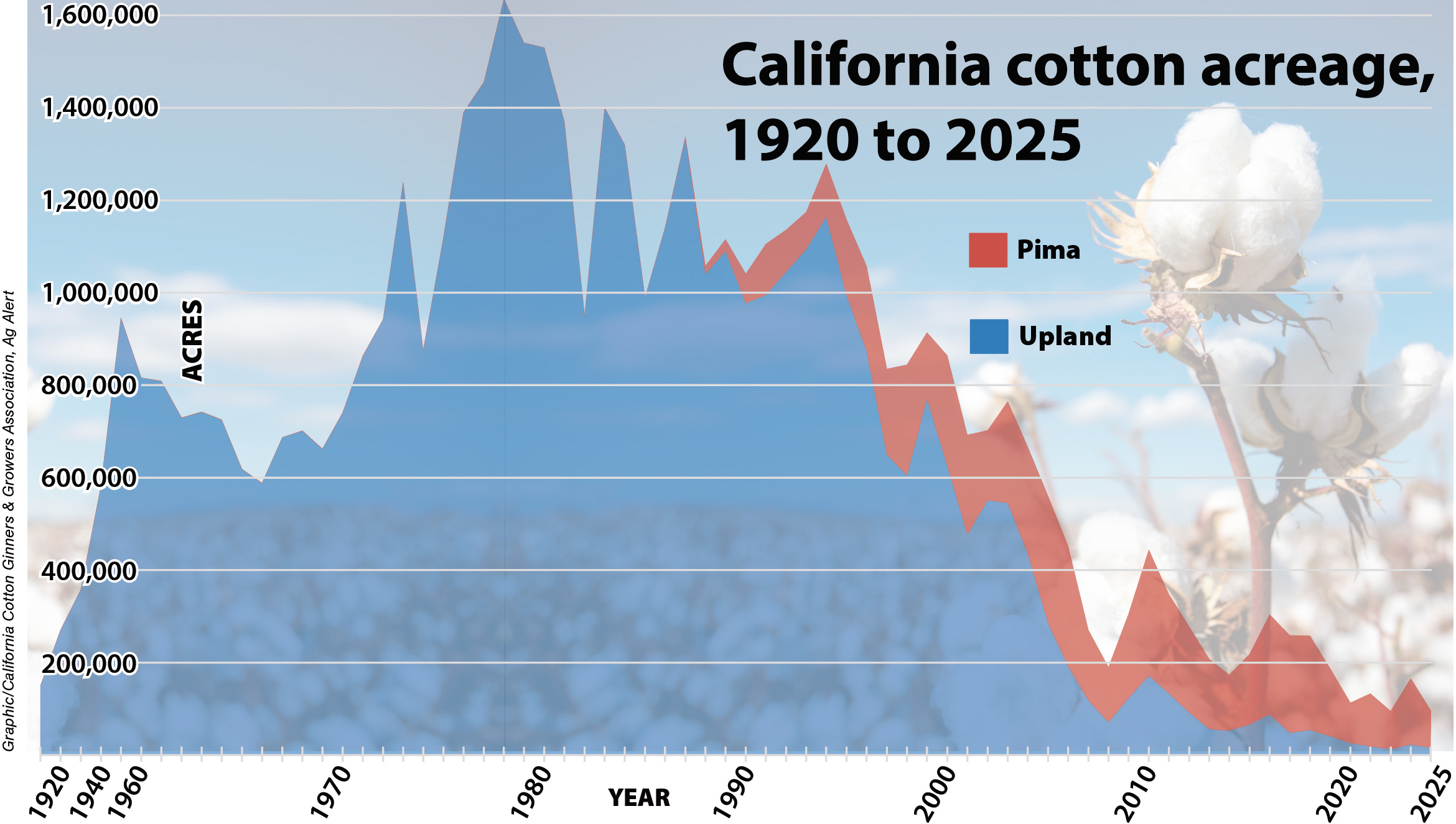 California cotton acreage 1920-2025