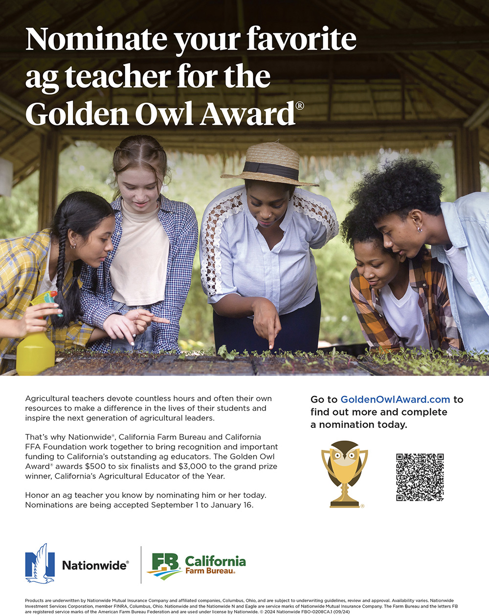 Nationwide Golden Owl Award