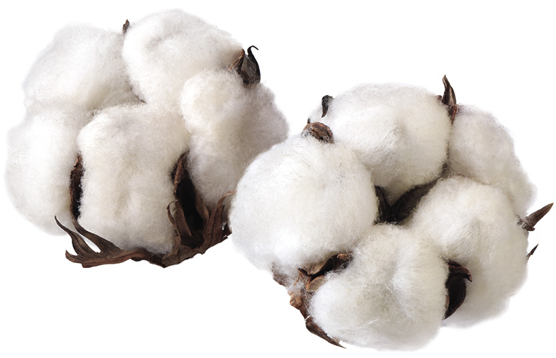 Featured commodities image