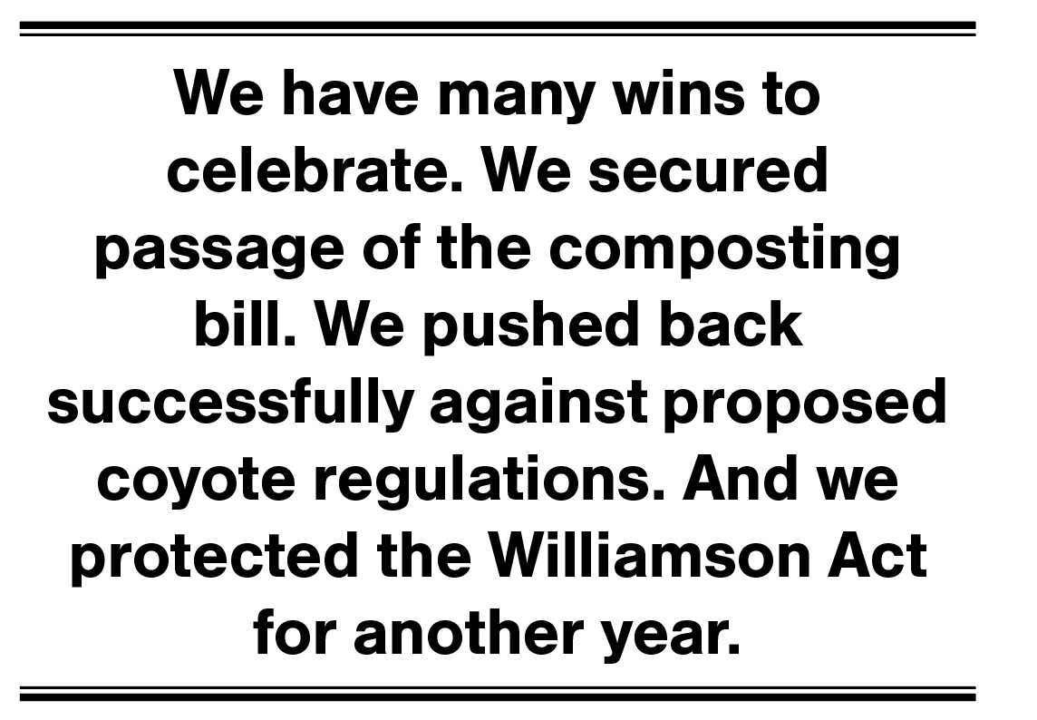 We have many wins to celebrate.