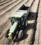 Biochar, known to improve soil quality, water retention and crop yield, is applied to a field in preparation for planting at a Monterey County vineyard.