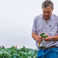 Brussels sprouts nab more acreage as demand grows