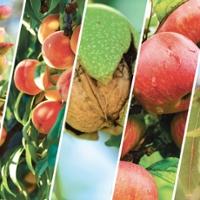 Using On-Farm Data for Decisions that Matter