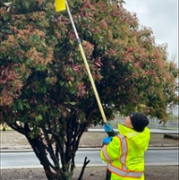 Wine market woes could zap Pierce's disease funds