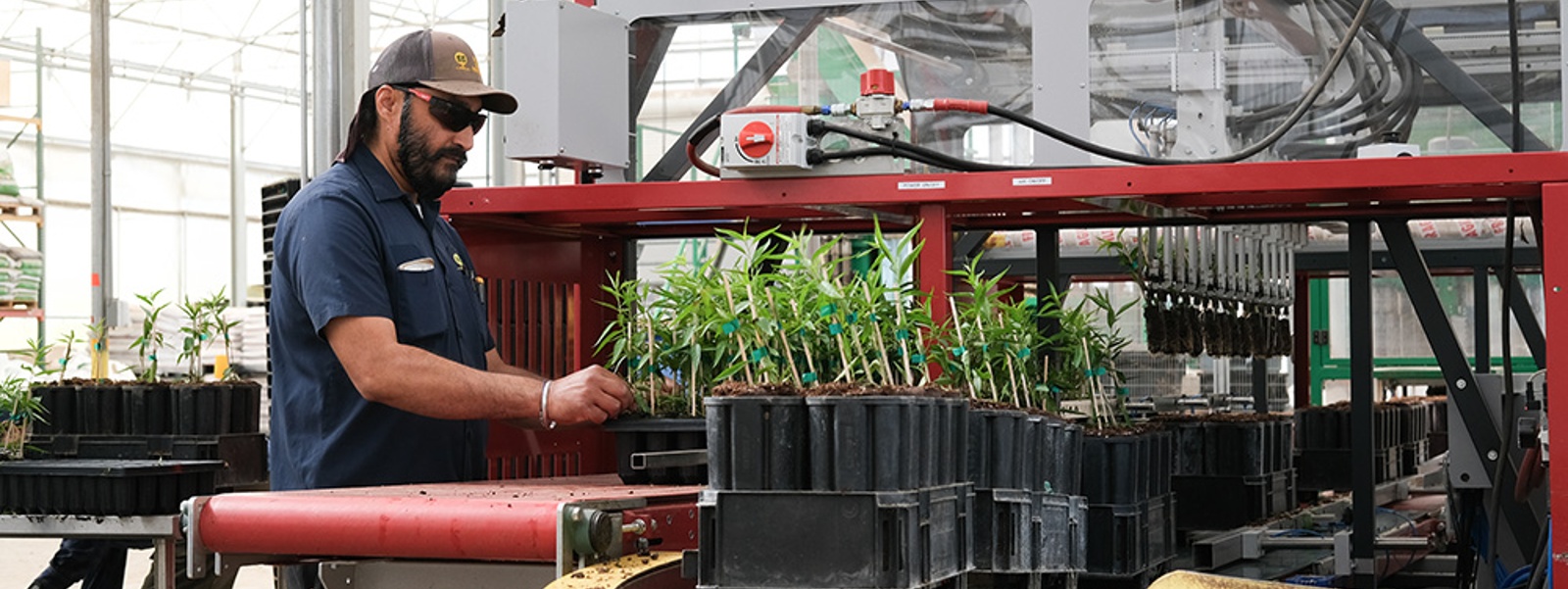Labor expenses push farmers to automate