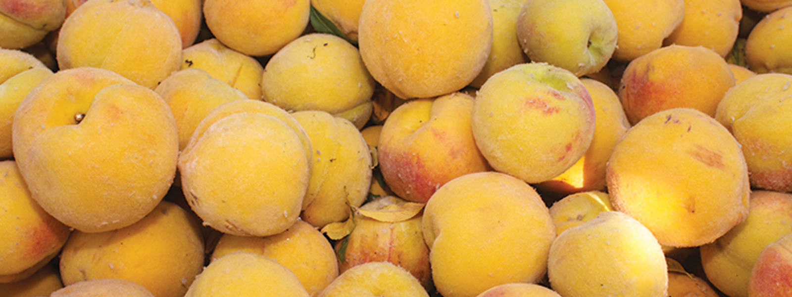 Customer demand for cling peaches exceeds production