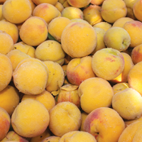 Customer demand for cling peaches exceeds production
