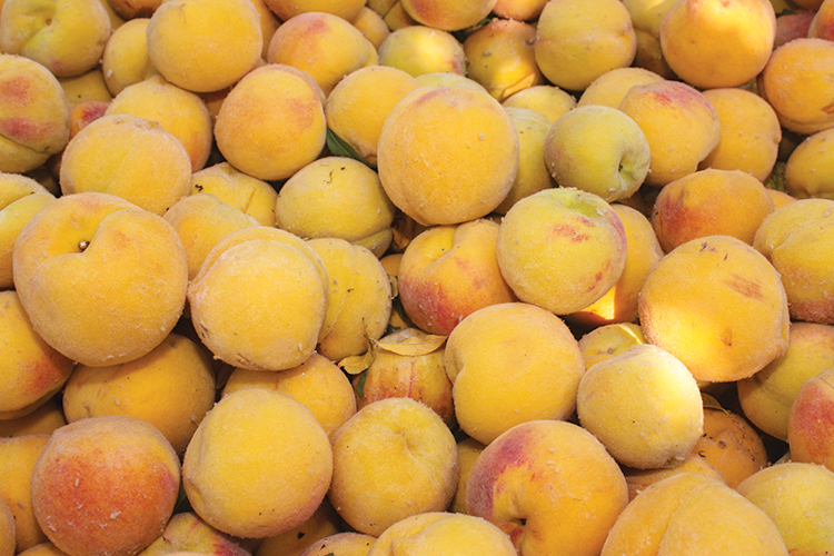 Customer demand for cling peaches exceeds production