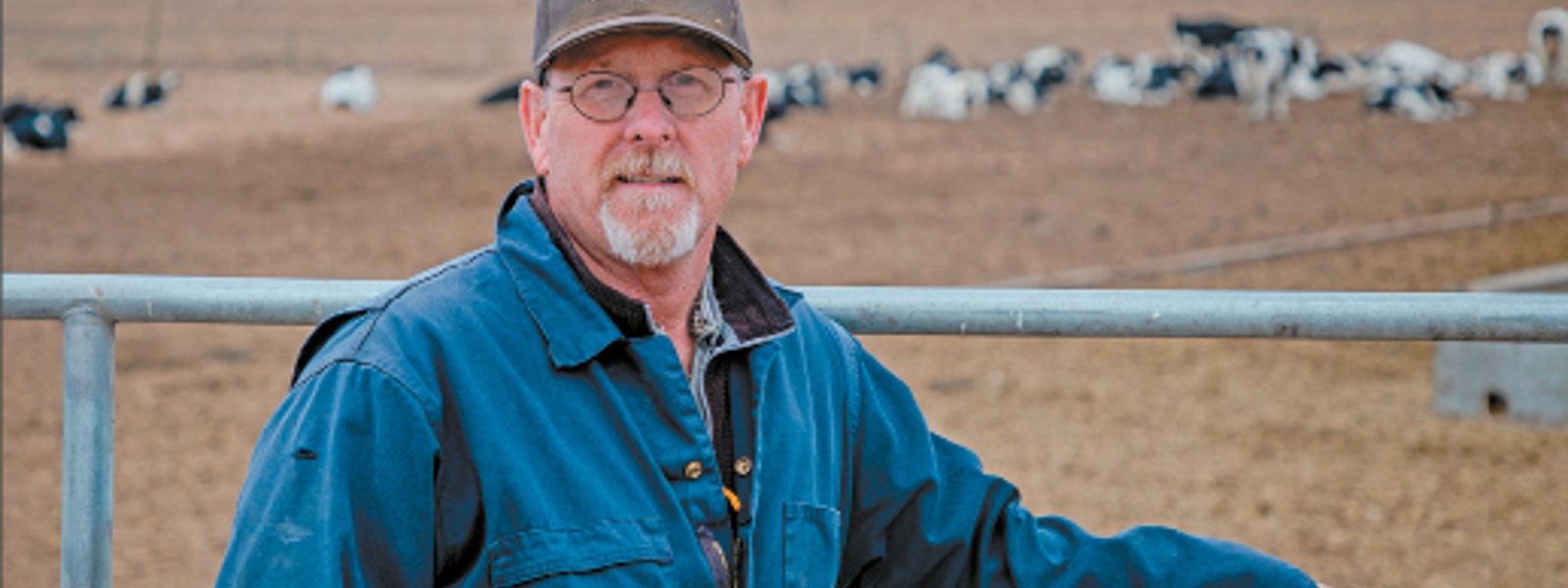 Legal battles over elk stress dairy farmers