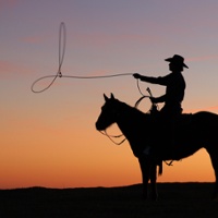 Ranch silhouette wins annual photo award