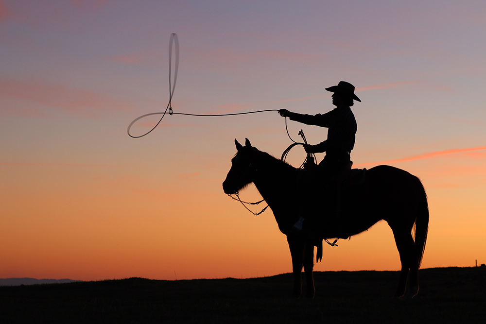 Ranch silhouette wins annual photo award
