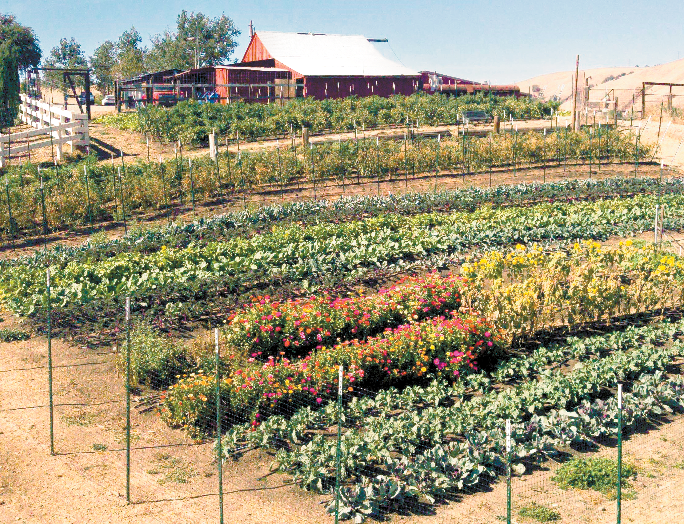 Farm-to-table restaurateur returns to farming roots