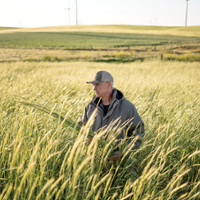 Growers, researchers try out different grain options