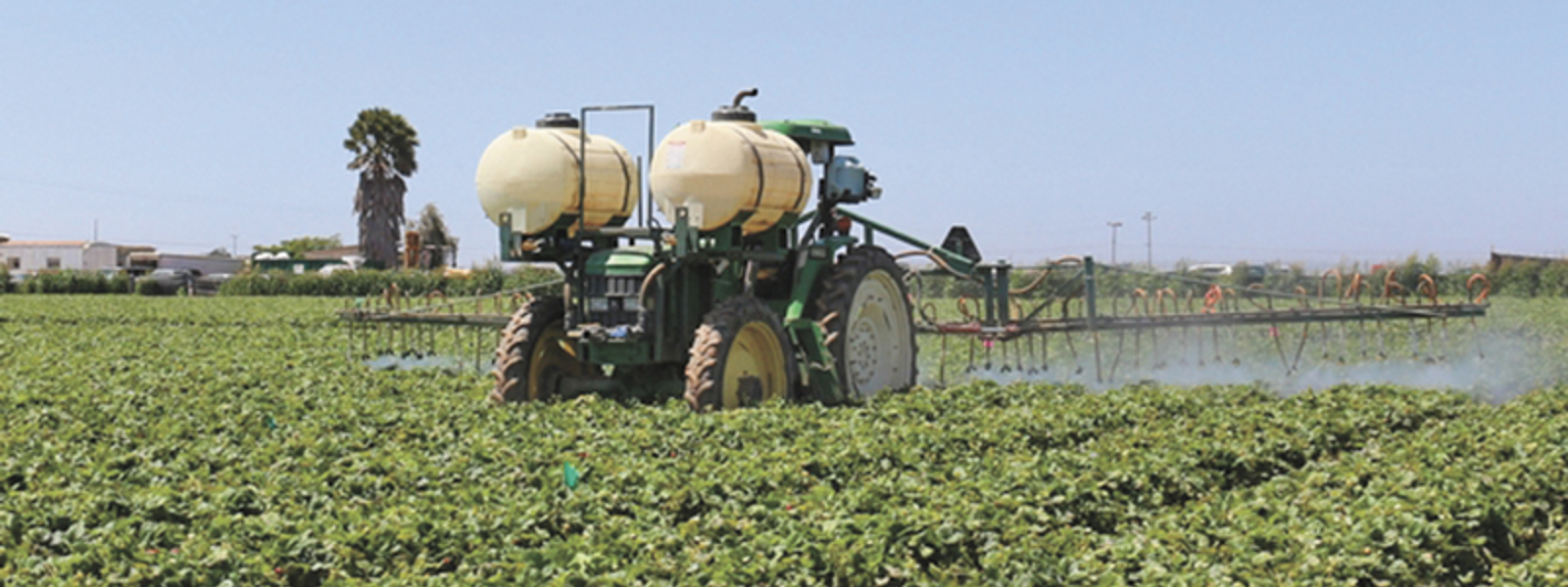 State plans to start pesticide notifications early next year