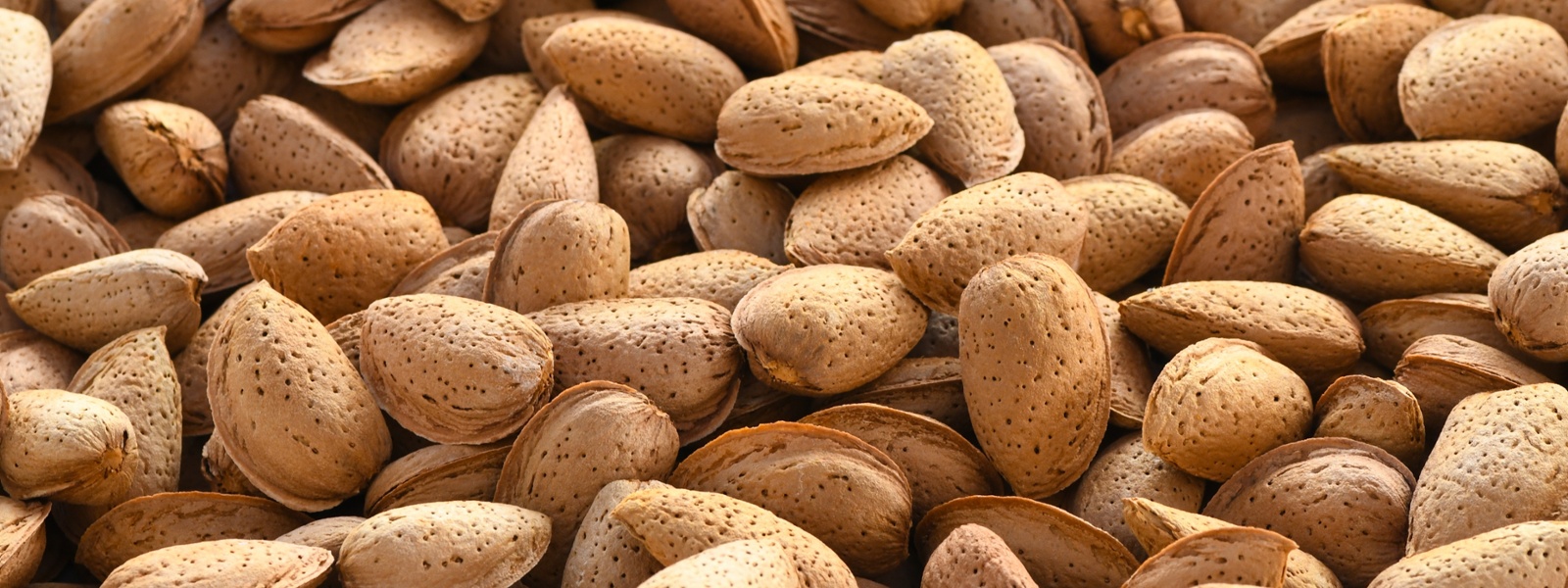 India to remove retaliatory tariffs on almonds, walnuts