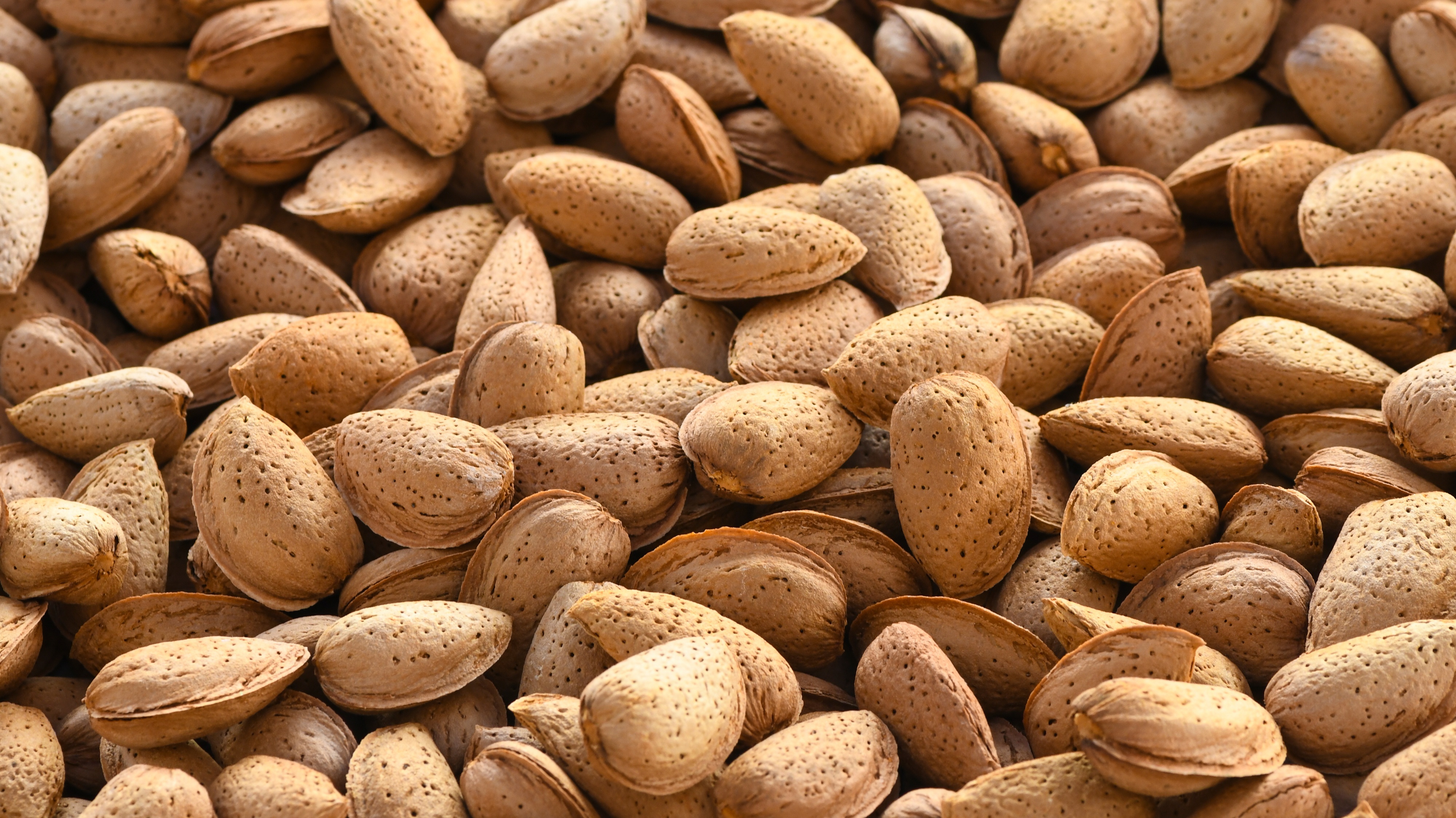 India to remove retaliatory tariffs on almonds, walnuts