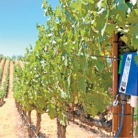 High-tech sensors are a new tool in regenerative farming