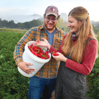Farmers aim to grow market for French chili pepper