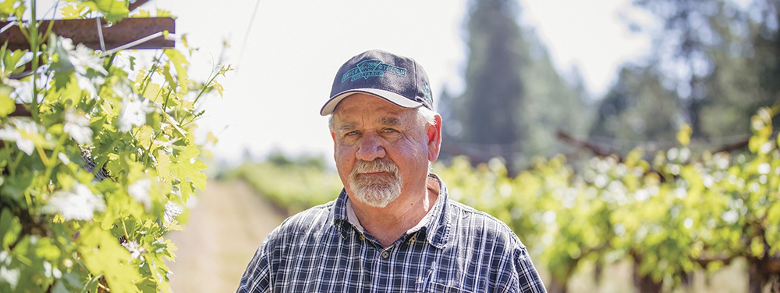 From the Fields: Stuart Mast, ​​​​​​​Calaveras County vintner