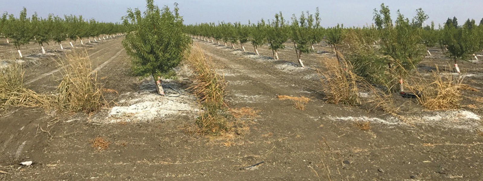 Fix poor infiltration with gypsum and water tests