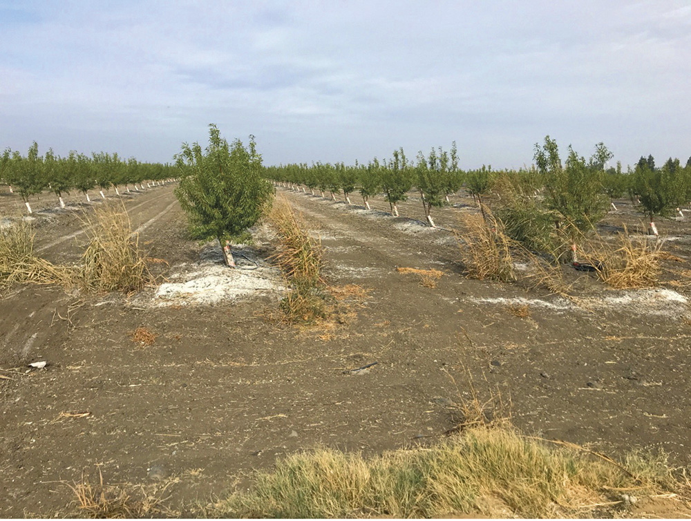 Fix poor infiltration with gypsum and water tests
